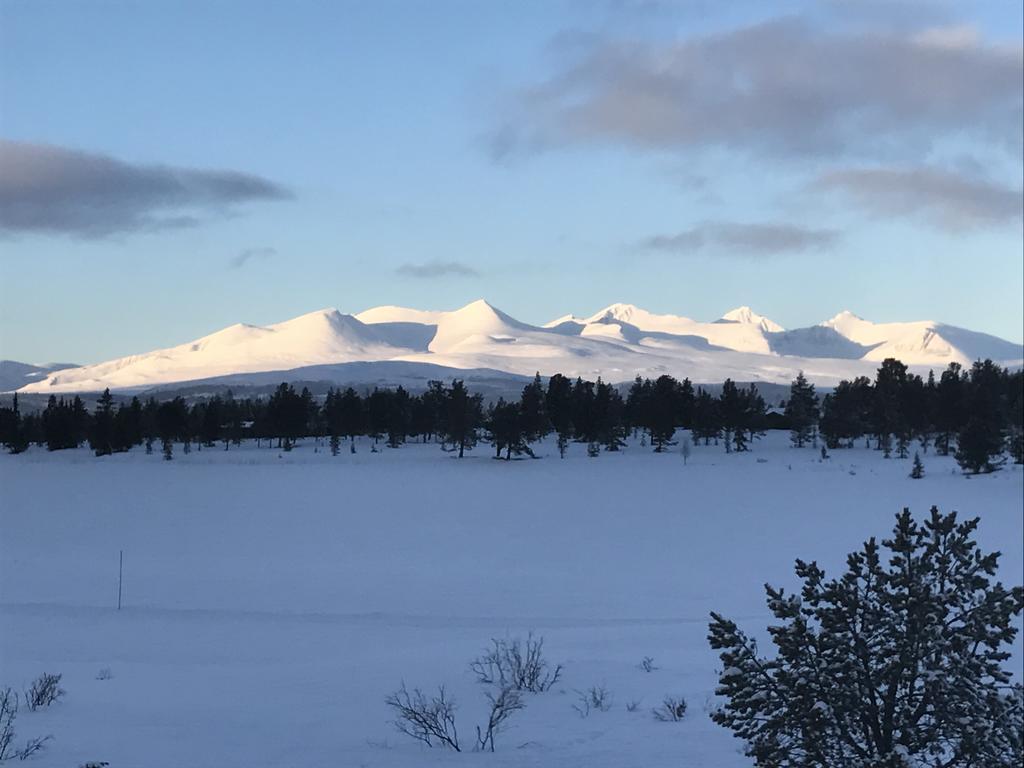 Rondaplassen Kvam  Luaran gambar